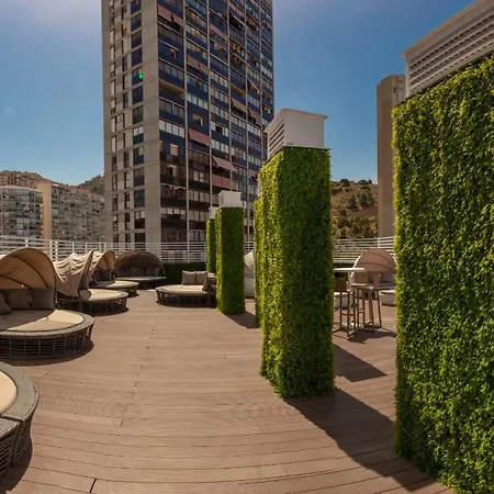 Bc Music (adults Only) *